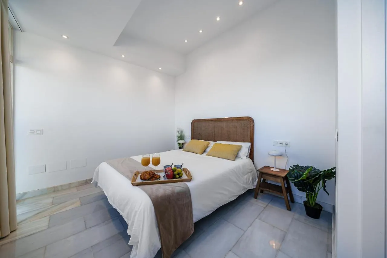 Exclusive Alameda - Penthouse Apartment Malaga